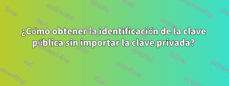 ¿Cómo obtener la identificación de la clave pública sin importar la clave privada?