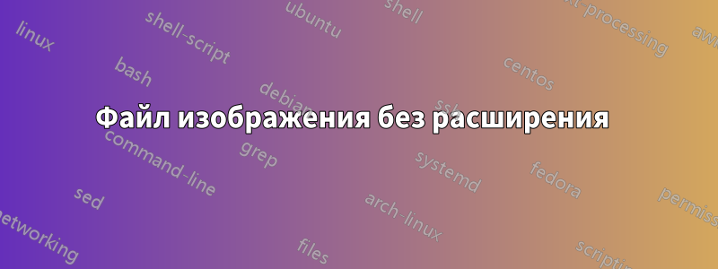 Файл изображения без расширения 