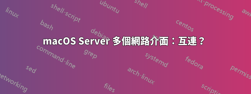 macOS Server 多個網路介面：互連？