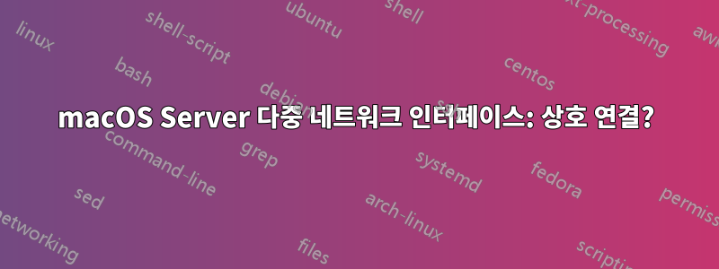 macOS Server 다중 네트워크 인터페이스: 상호 연결?