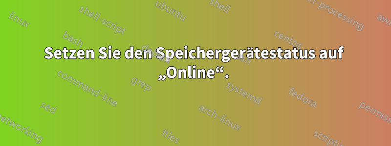 Setzen Sie den Speichergerätestatus auf „Online“.