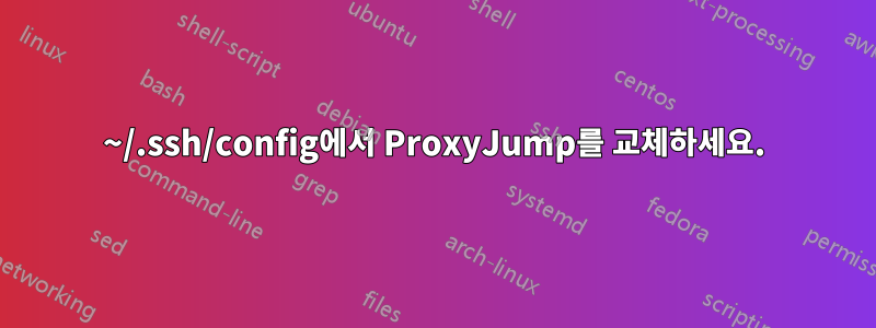 ~/.ssh/config에서 ProxyJump를 교체하세요.