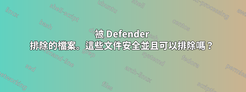 被 Defender 排除的檔案。這些文件安全並且可以排除嗎？