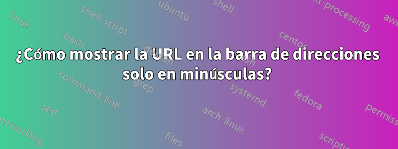 ¿Cómo mostrar la URL en la barra de direcciones solo en minúsculas?