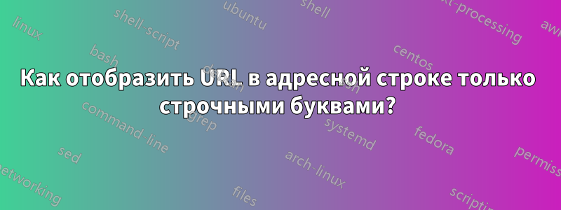 Как отобразить URL в адресной строке только строчными буквами?