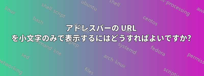 アドレスバーの URL を小文字のみで表示するにはどうすればよいですか?