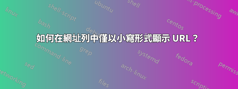 如何在網址列中僅以小寫形式顯示 URL？