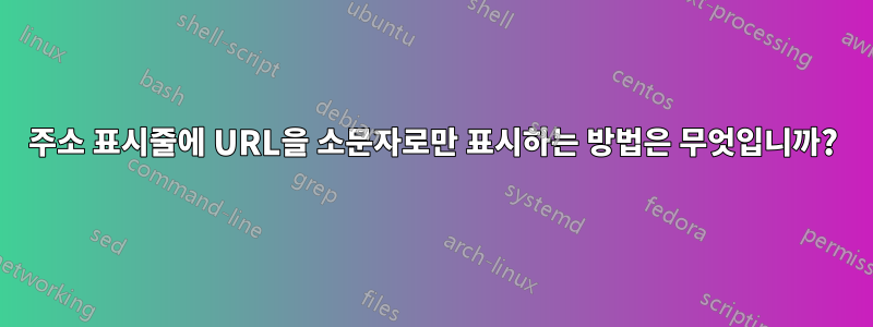 주소 표시줄에 URL을 소문자로만 표시하는 방법은 무엇입니까?