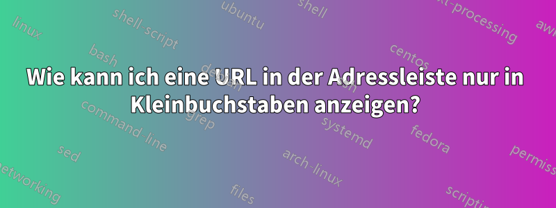 Wie kann ich eine URL in der Adressleiste nur in Kleinbuchstaben anzeigen?