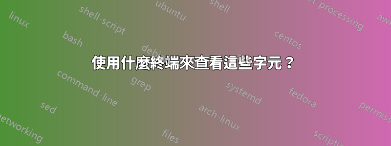 使用什麼終端來查看這些字元？