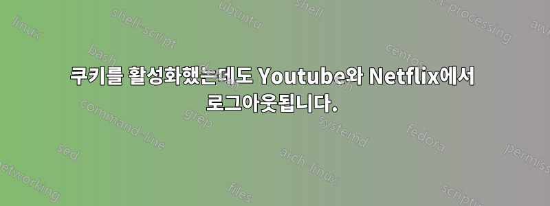 쿠키를 활성화했는데도 Youtube와 Netflix에서 로그아웃됩니다.