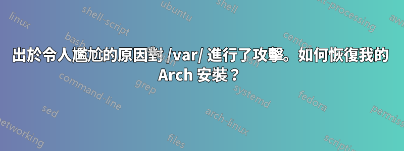 出於令人尷尬的原因對 /var/ 進行了攻擊。如何恢復我的 Arch 安裝？