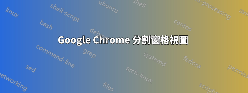 Google Chrome 分割窗格視圖