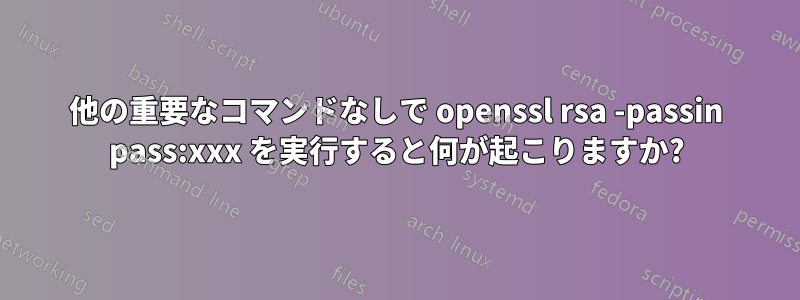 他の重要なコマンドなしで openssl rsa -passin pass:xxx を実行すると何が起こりますか?