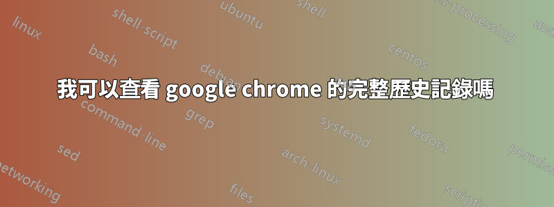 我可以查看 google chrome 的完整歷史記錄嗎