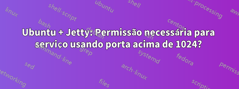 Ubuntu + Jetty: Permissão necessária para serviço usando porta acima de 1024?