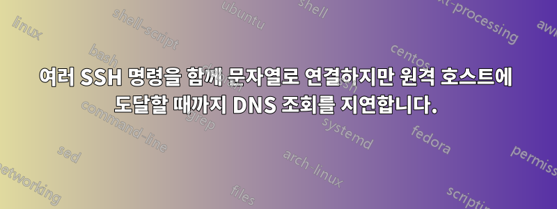 여러 SSH 명령을 함께 문자열로 연결하지만 원격 호스트에 도달할 때까지 DNS 조회를 지연합니다.