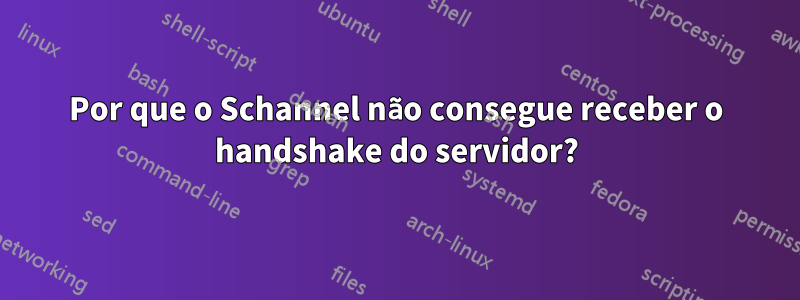 Por que o Schannel não consegue receber o handshake do servidor?