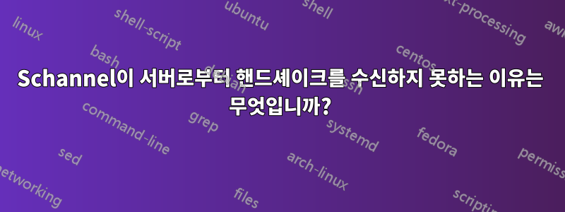 Schannel이 서버로부터 핸드셰이크를 수신하지 못하는 이유는 무엇입니까?