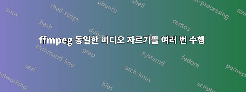 ffmpeg 동일한 비디오 자르기를 여러 번 수행