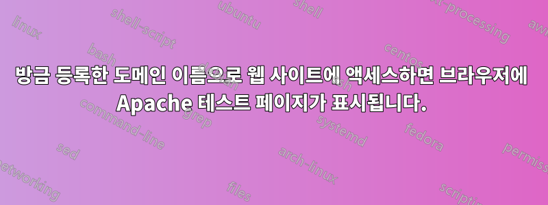 방금 등록한 도메인 이름으로 웹 사이트에 액세스하면 브라우저에 Apache 테스트 페이지가 표시됩니다.