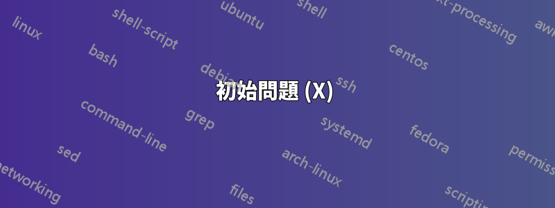 初始問題 (X)