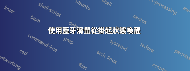 使用藍牙滑鼠從掛起狀態喚醒