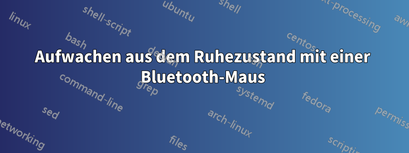 Aufwachen aus dem Ruhezustand mit einer Bluetooth-Maus