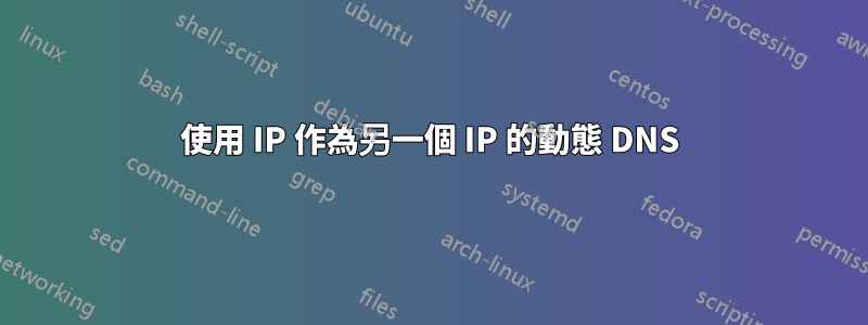 使用 IP 作為另一個 IP 的動態 DNS