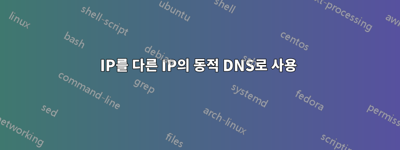 IP를 다른 IP의 동적 DNS로 사용