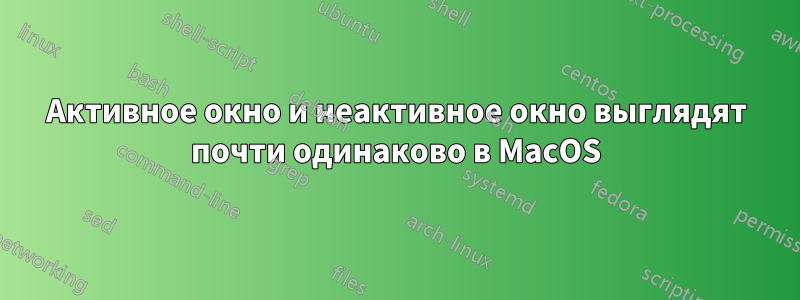 Активное окно и неактивное окно выглядят почти одинаково в MacOS