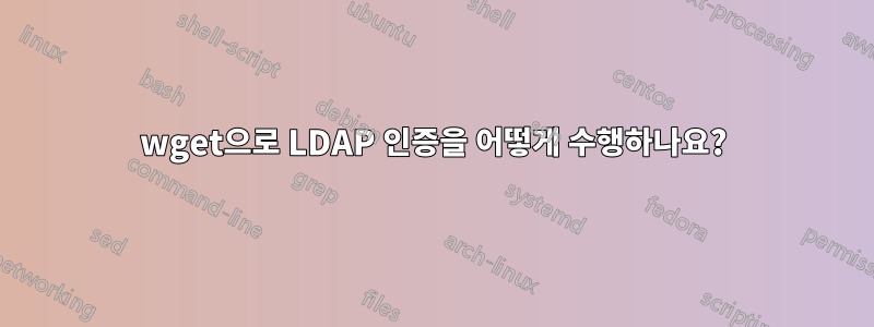 wget으로 LDAP 인증을 어떻게 수행하나요?