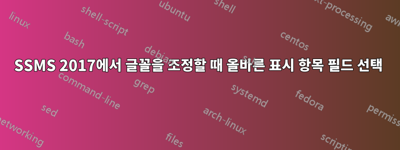 SSMS 2017에서 글꼴을 조정할 때 올바른 표시 항목 필드 선택