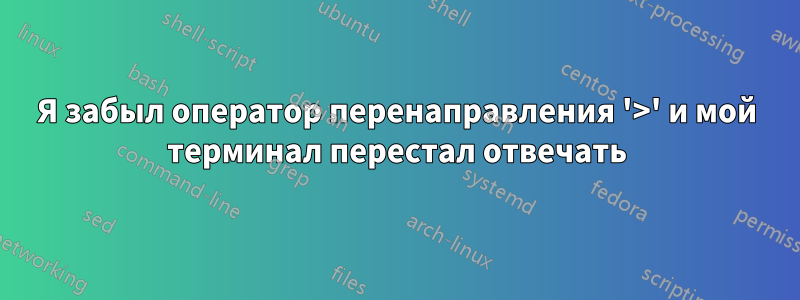 Я забыл оператор перенаправления '>' и мой терминал перестал отвечать