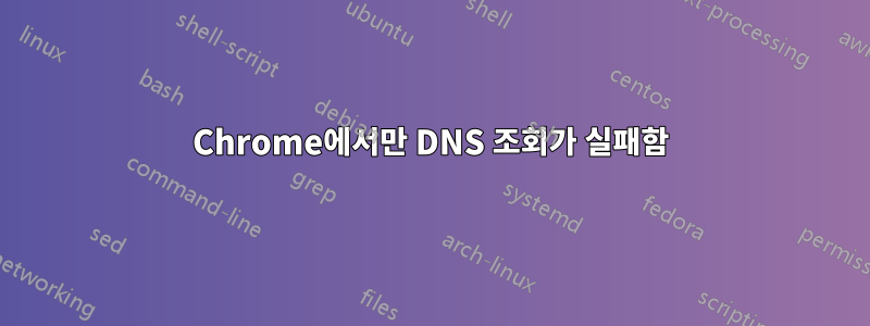 Chrome에서만 DNS 조회가 실패함