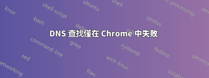 DNS 查找僅在 Chrome 中失敗