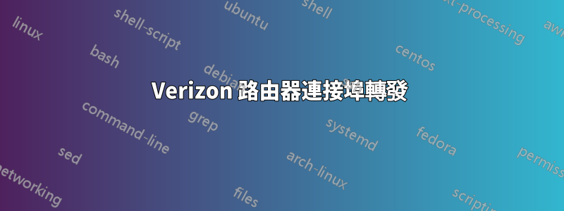 Verizon 路由器連接埠轉發