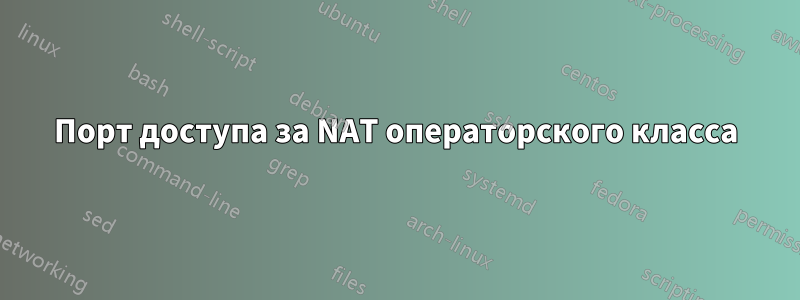 Порт доступа за NAT операторского класса