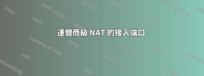 運營商級 NAT 的接入端口