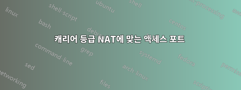 캐리어 등급 NAT에 맞는 액세스 포트