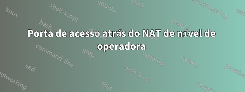 Porta de acesso atrás do NAT de nível de operadora