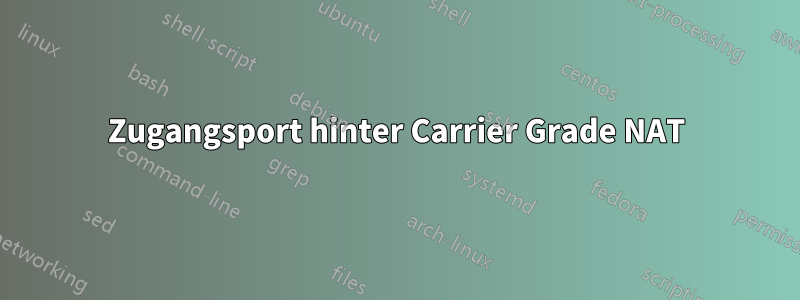 Zugangsport hinter Carrier Grade NAT