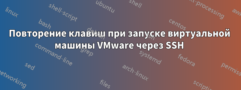 Повторение клавиш при запуске виртуальной машины VMware через SSH