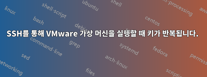 SSH를 통해 VMware 가상 머신을 실행할 때 키가 반복됩니다.