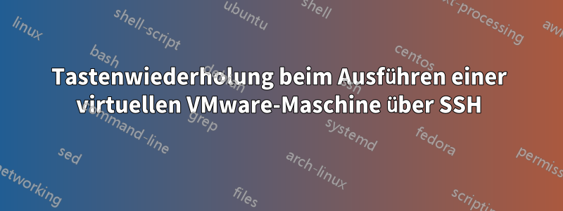 Tastenwiederholung beim Ausführen einer virtuellen VMware-Maschine über SSH