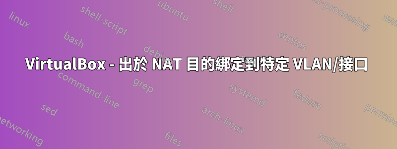 VirtualBox - 出於 NAT 目的綁定到特定 VLAN/接口