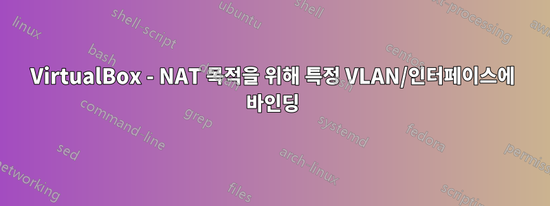 VirtualBox - NAT 목적을 위해 특정 VLAN/인터페이스에 바인딩