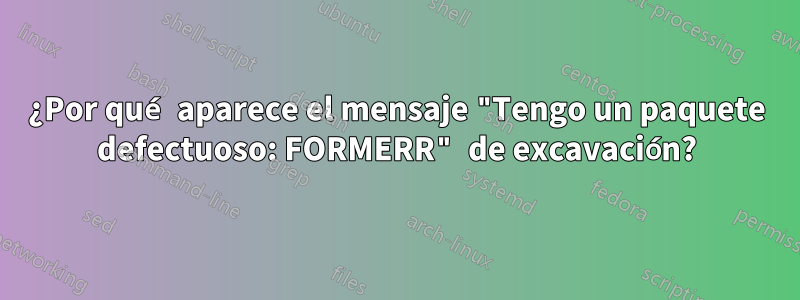 ¿Por qué aparece el mensaje "Tengo un paquete defectuoso: FORMERR" de excavación?