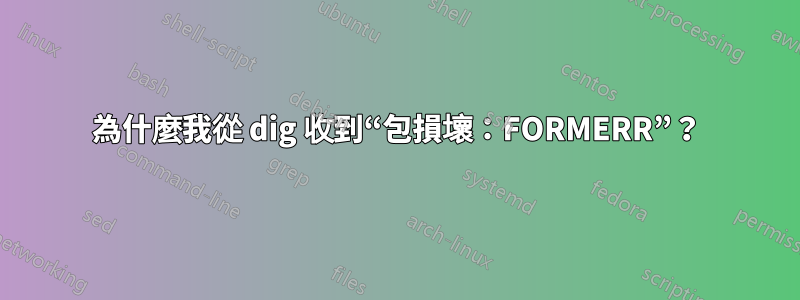 為什麼我從 dig 收到“包損壞：FORMERR”？