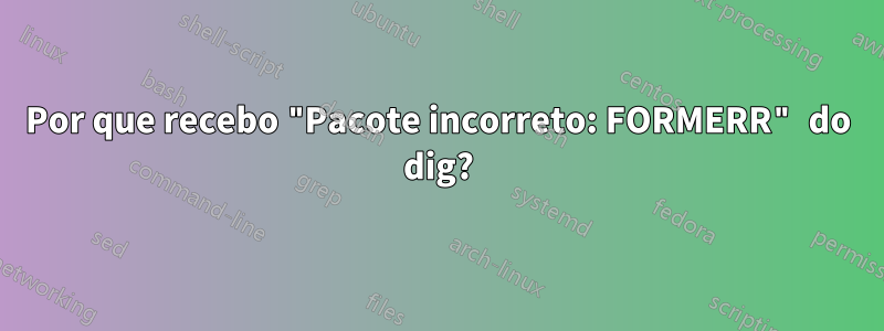 Por que recebo "Pacote incorreto: FORMERR" do dig?